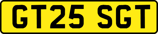 GT25SGT