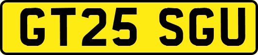 GT25SGU