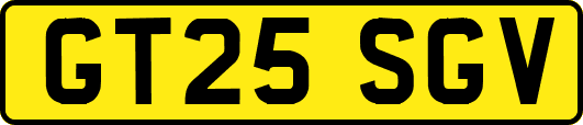 GT25SGV