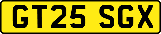 GT25SGX