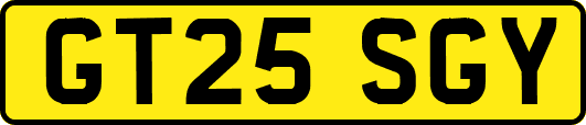 GT25SGY