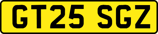 GT25SGZ