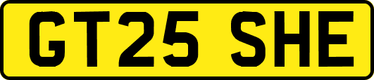 GT25SHE