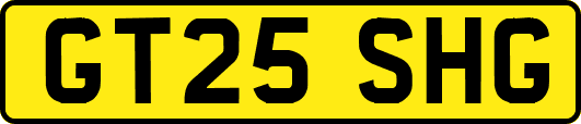 GT25SHG