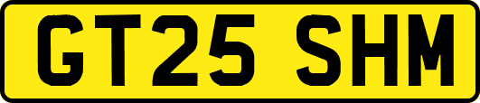 GT25SHM