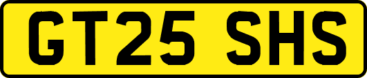 GT25SHS