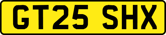 GT25SHX