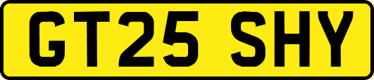 GT25SHY