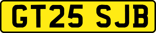 GT25SJB
