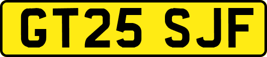 GT25SJF