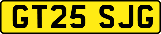 GT25SJG