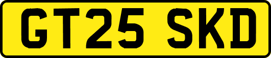 GT25SKD