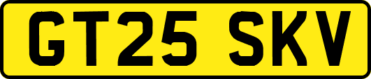 GT25SKV