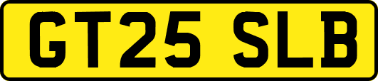 GT25SLB