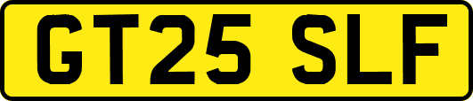 GT25SLF
