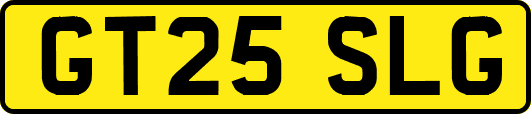 GT25SLG