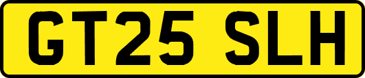 GT25SLH