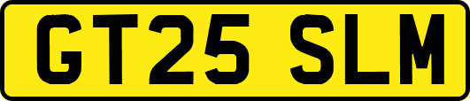 GT25SLM
