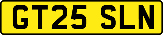 GT25SLN