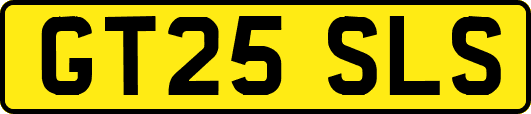 GT25SLS