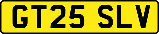 GT25SLV