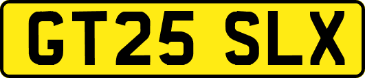GT25SLX