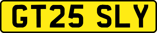 GT25SLY