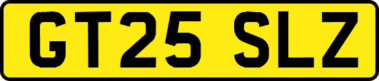 GT25SLZ