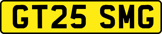 GT25SMG