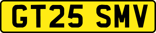 GT25SMV