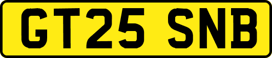 GT25SNB
