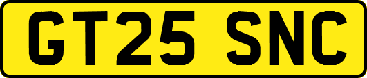 GT25SNC