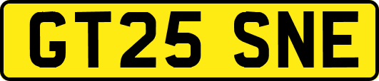 GT25SNE