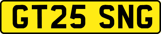 GT25SNG
