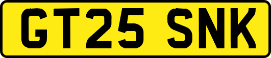 GT25SNK
