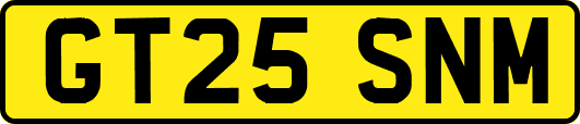 GT25SNM