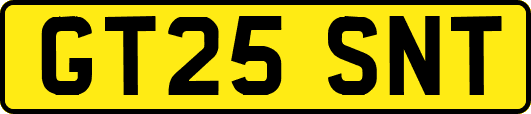 GT25SNT