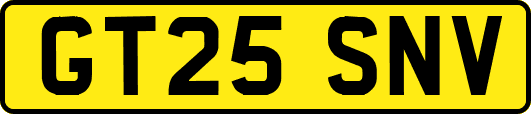 GT25SNV