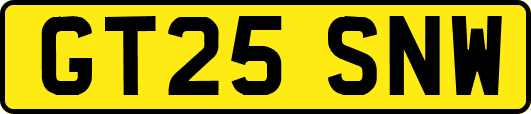 GT25SNW