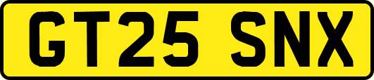 GT25SNX