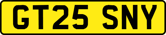 GT25SNY