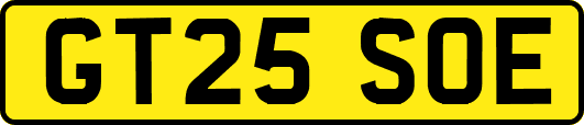 GT25SOE