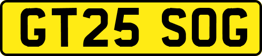 GT25SOG