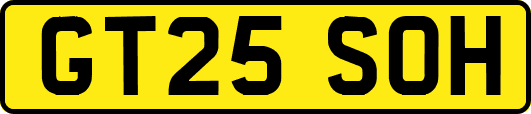 GT25SOH