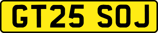 GT25SOJ
