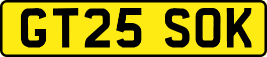GT25SOK