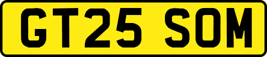 GT25SOM