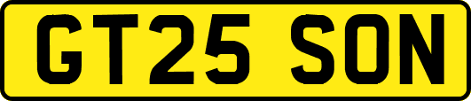 GT25SON