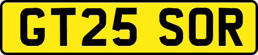 GT25SOR