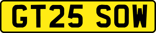 GT25SOW